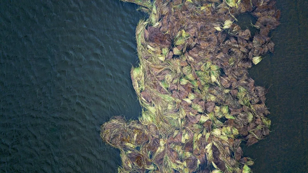 Bão số 5 suy yếu, người dân Quảng Ngãi đối diện với ngập lụt ảnh 6