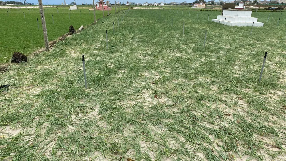 Bão số 5 suy yếu, người dân Quảng Ngãi đối diện với ngập lụt ảnh 11