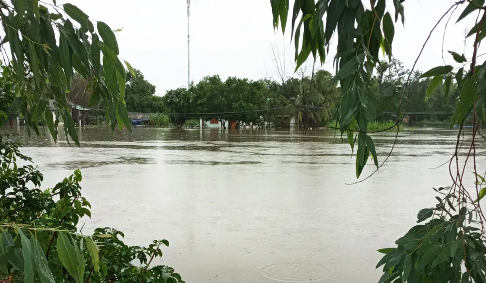 Mưa lũ tiếp tục gây sạt lở, ngập lụt hàng ngàn nhà dân ở Bình Định ảnh 12