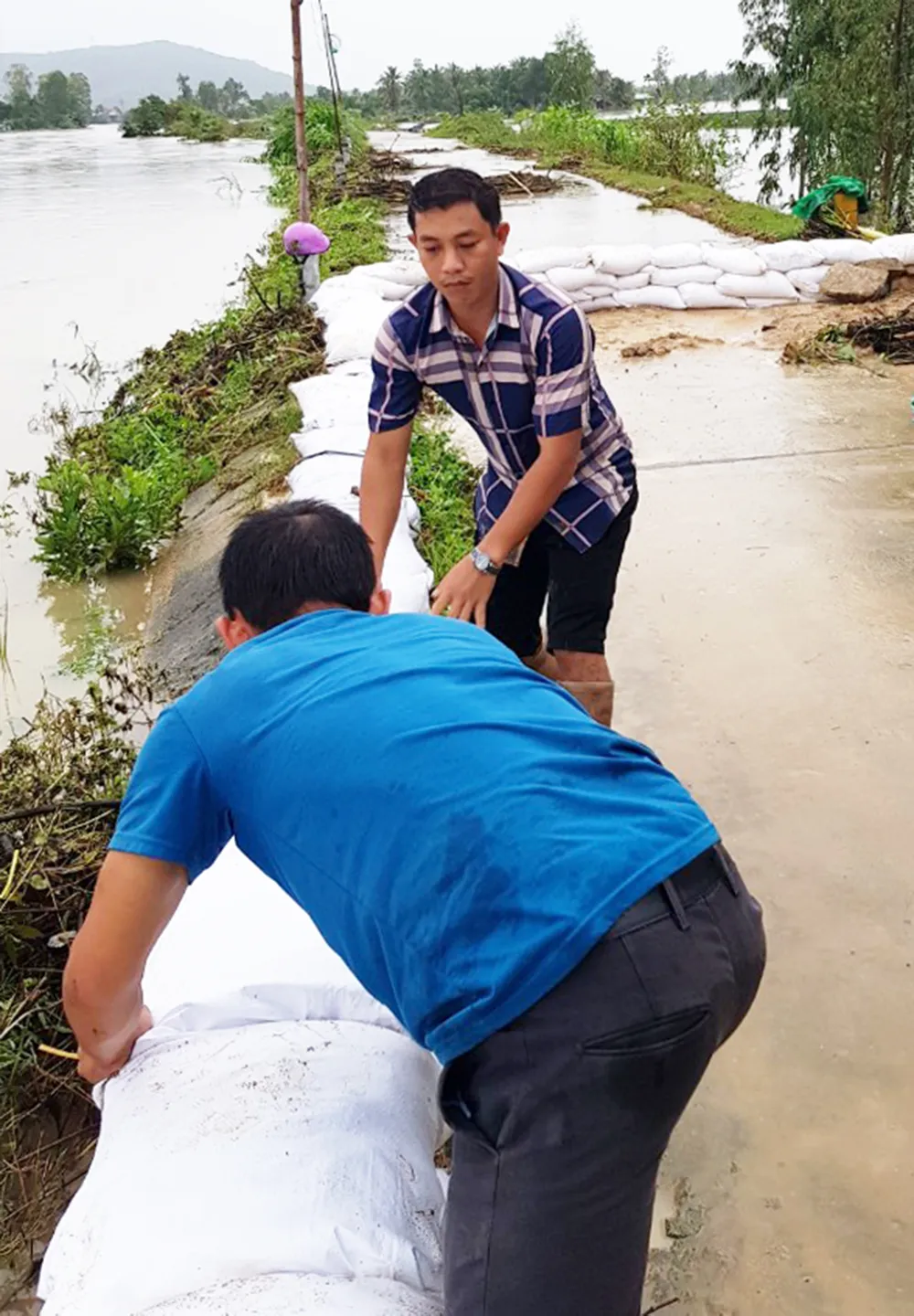 Cận cảnh ngập lụt cô lập hàng ngàn hộ dân ở Bình Định ảnh 5