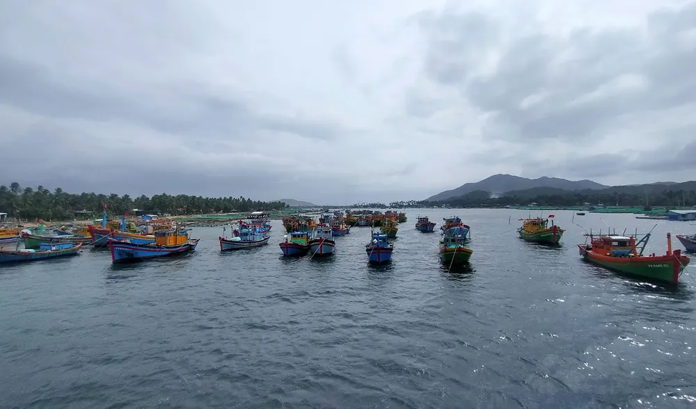 Làng chài gánh thuyền thúng “chạy bão“ ảnh 15