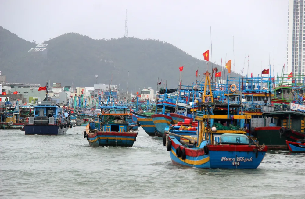 Làng chài gánh thuyền thúng “chạy bão“ ảnh 17