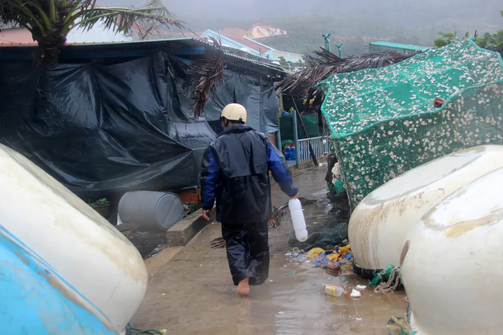 Bão số 9 giật cấp 17, sóng biển dâng cao uy hiếp bờ biển Bình Định, Phú Yên ảnh 5