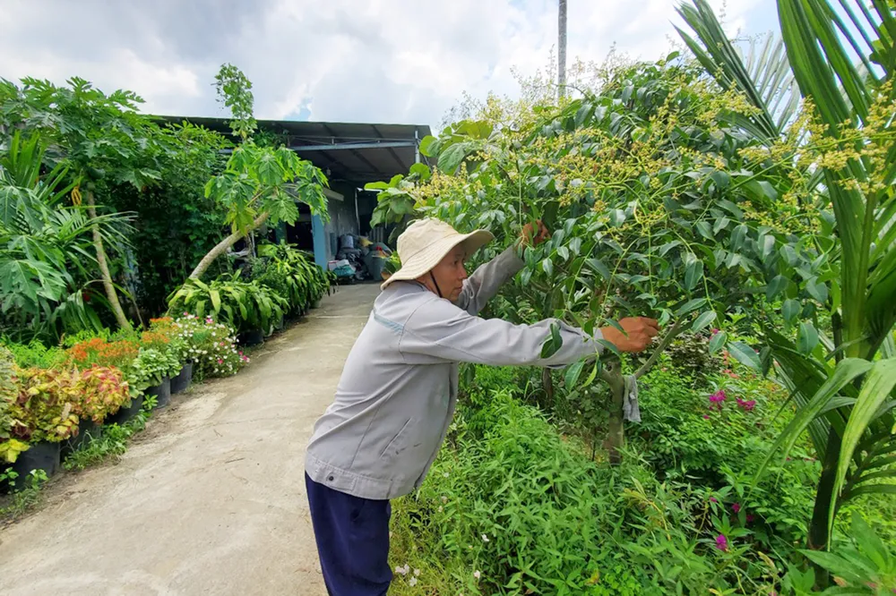 Khốn khổ vì mua nhầm đất tranh chấp  ảnh 7