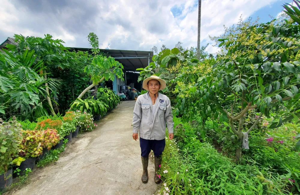 Khốn khổ vì mua nhầm đất tranh chấp  ảnh 4