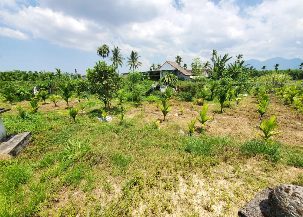 Khốn khổ vì mua nhầm đất tranh chấp  ảnh 8