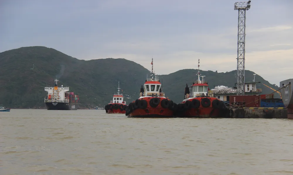 Bình Định thực hiện nghiêm lệnh cấm biển ảnh 8