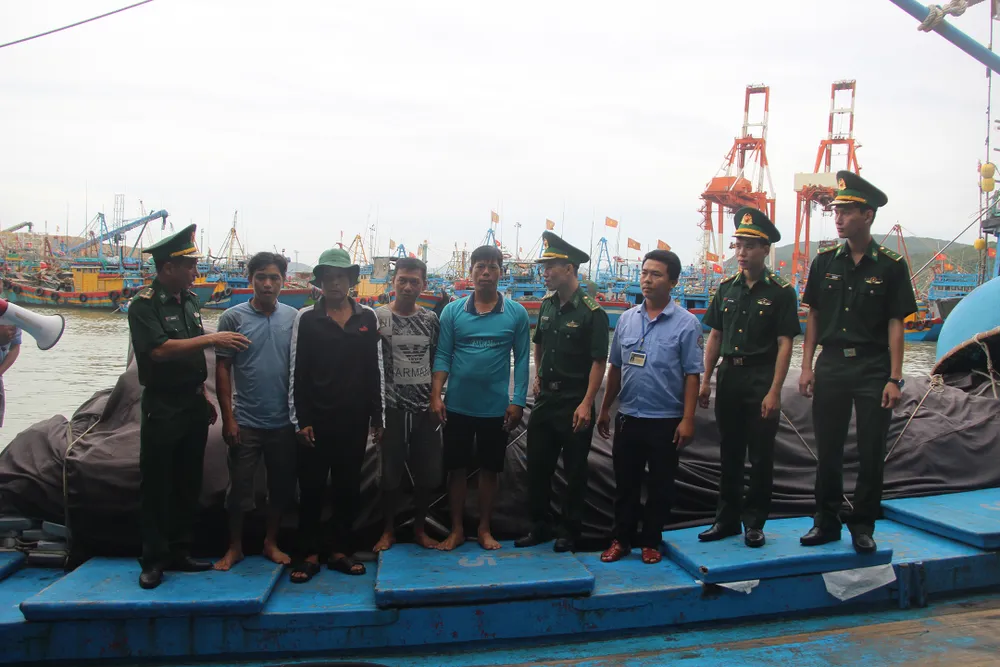 Bình Định thực hiện nghiêm lệnh cấm biển ảnh 7