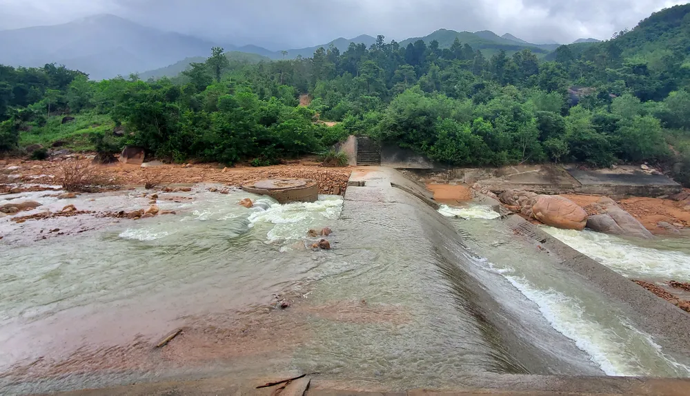 Cỏ dại bủa vây nhà máy nước hơn 7 tỷ  ảnh 19