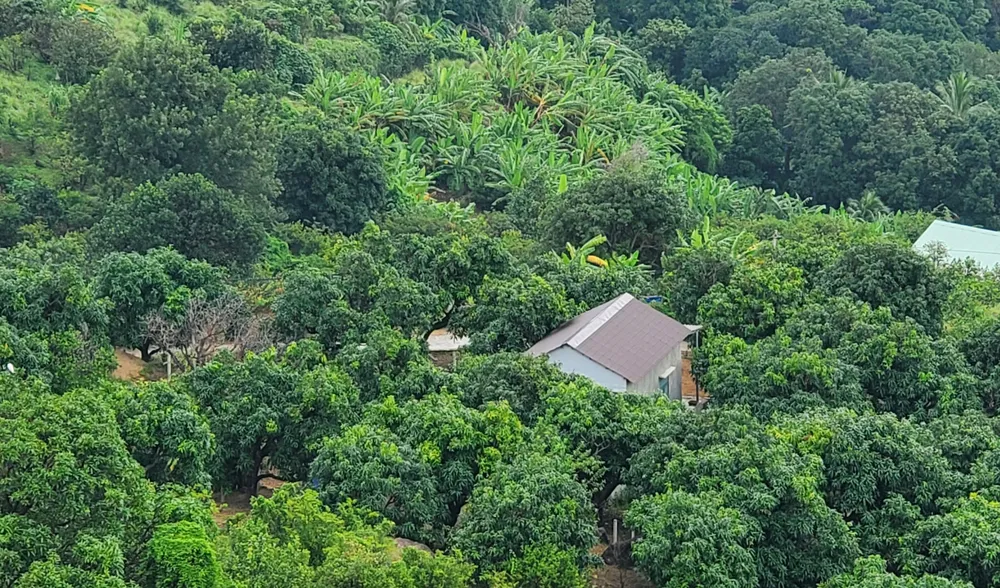 Công trình trái phép “mọc như nấm sau mưa” ở TP Quy Nhơn ảnh 6