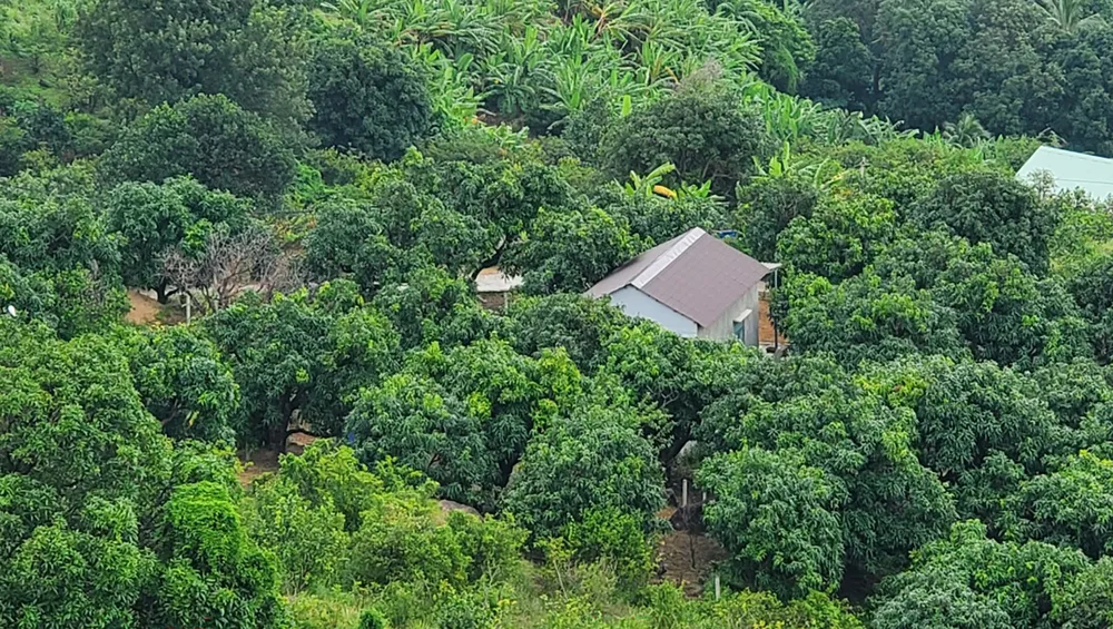 Bình Định: Xem xét trách nhiệm cán bộ để công trình trái phép "mọc lên như nấm sau mưa" ảnh 6