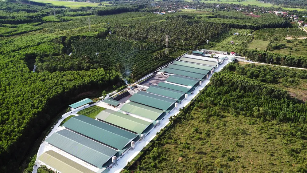 Khu trang trại chăn nuôi hiện đại ở Hoài Ân