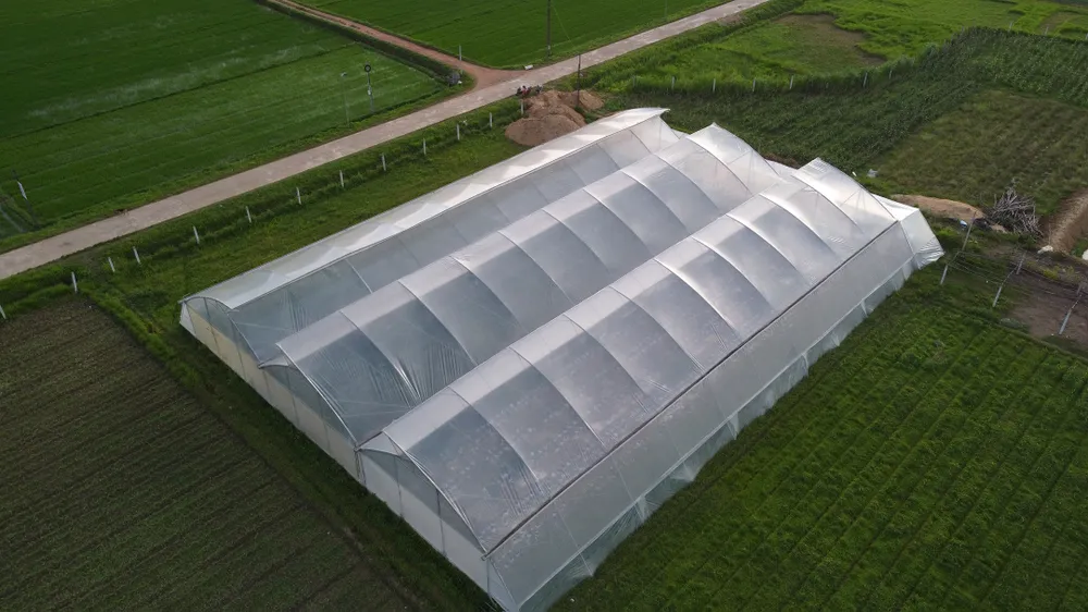 Hoài Ân rất có tiềm năng phát triển nông nghiệp công nghệ cao