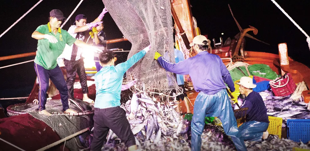 Ngư dân thị xã Hoài Nhơn đưa mẻ cá lớn lên khoang tàu. Ảnh: ĐẶNG VĂN HẢI (Ảnh tư liệu)