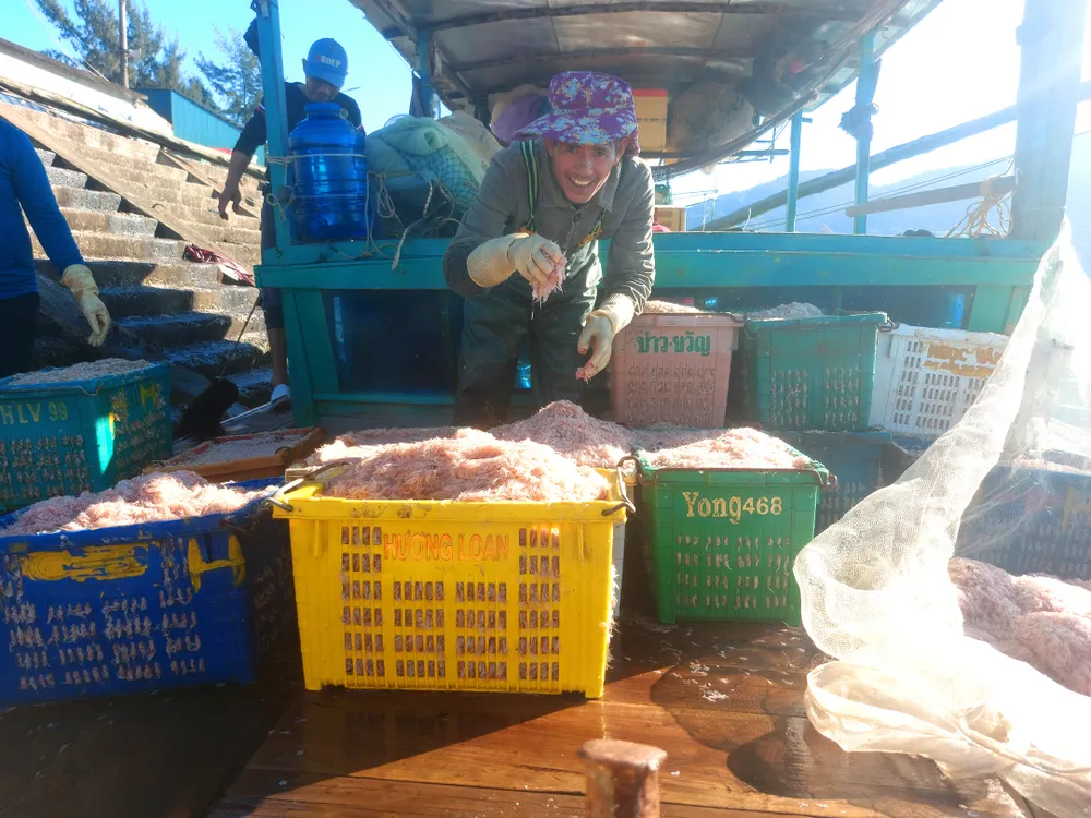 Vui mừng trúng mẻ ruốc biển cuối năm. Ảnh: DƯƠNG QUANG