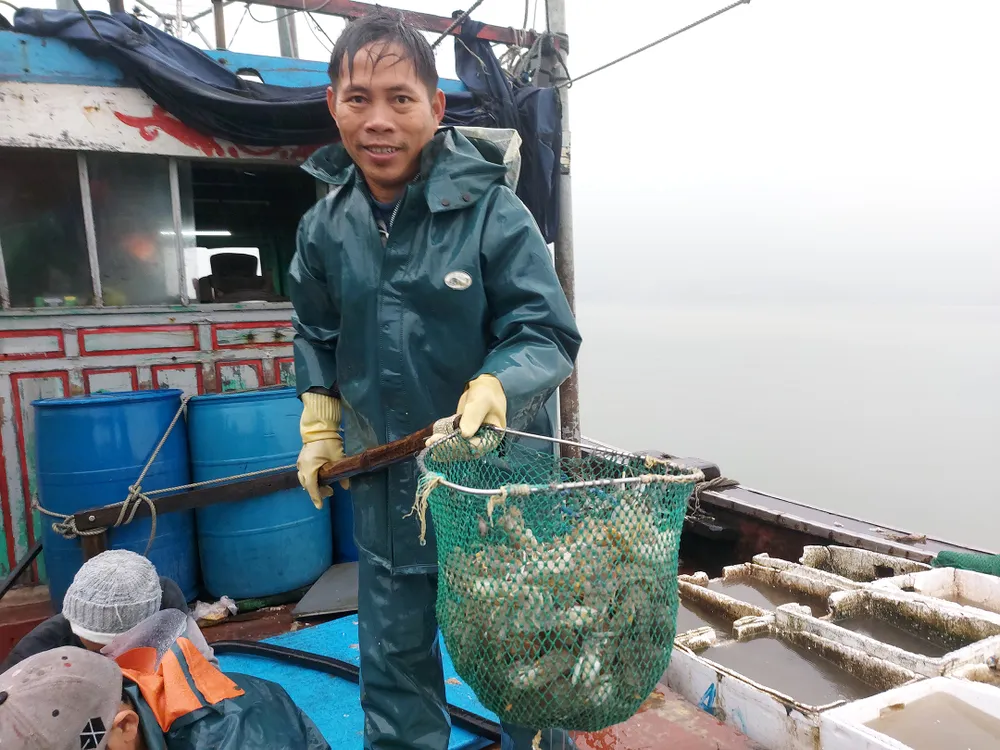 Ảnh: DƯƠNG QUANG