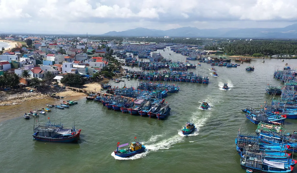 Hàng ngàn tàu cá ngư dân Hoài Nhơn nối nhau vươn khơi. Ảnh: NGỌC OAI Hàng ngàn tàu cá ngư dân Hoài Nhơn nối nhau vươn khơi. Ảnh: NGỌC OAI