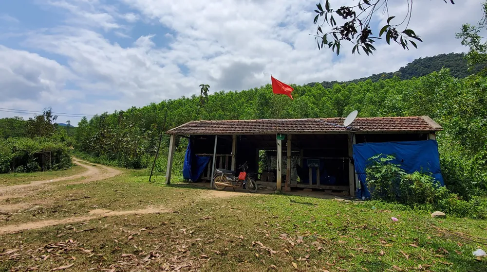 Trạm Quản lý bảo vệ rừng của huyện Tây Sơn có 4 cán bộ, nhân viên giữ rừng