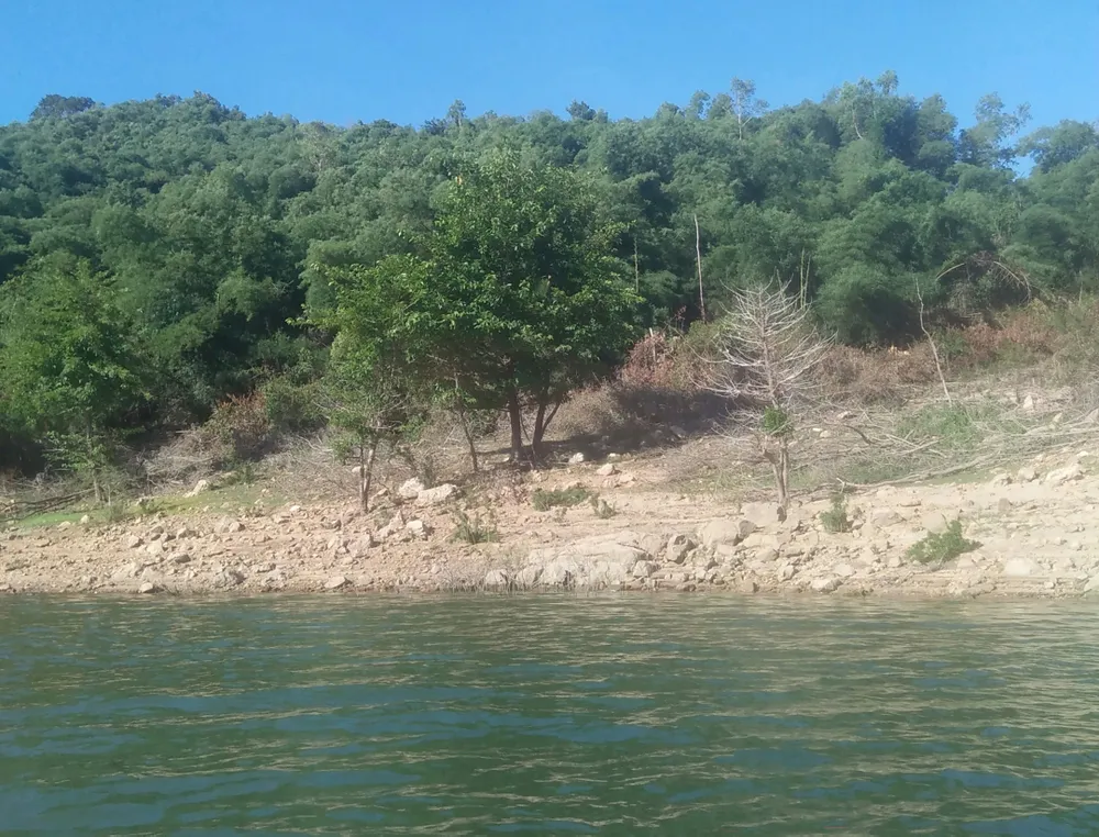 Trước đó, Báo SGGP đã phản ánh cựu Bí thư Huyện ủy Vĩnh Thạnh "thâu tóm" 115ha đất rừng phòng hộ