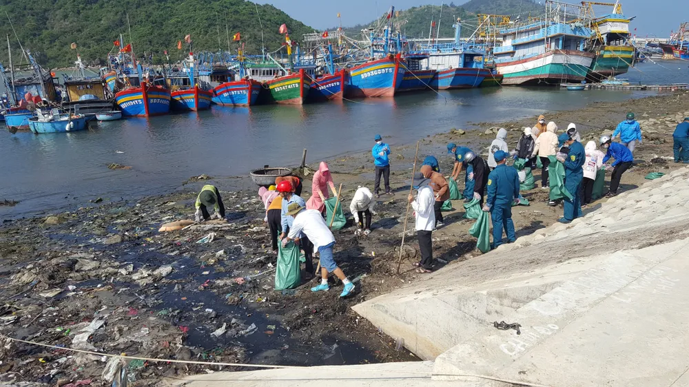 "Hồi sinh" cửa biển sau phản ánh của Báo SGGP ảnh 3