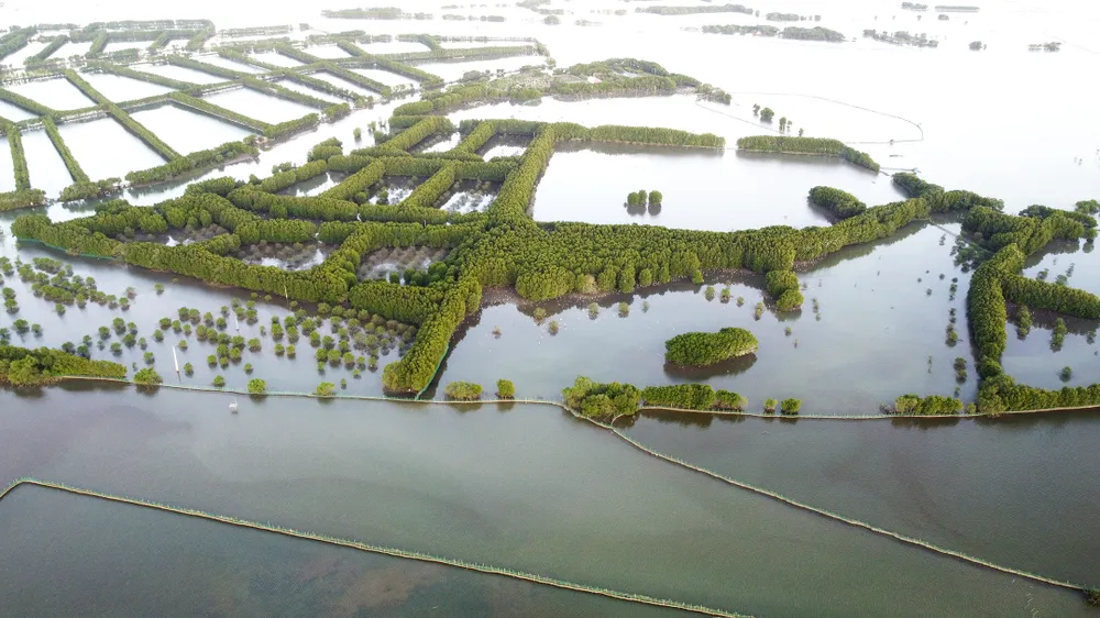 Tỉnh Bình Định đang đầu tư, phát triển thêm du lịch để kết nối Quy Nhơn đến "kho báu" xanh đầm Thị Nại. Ảnh: NGỌC OAI