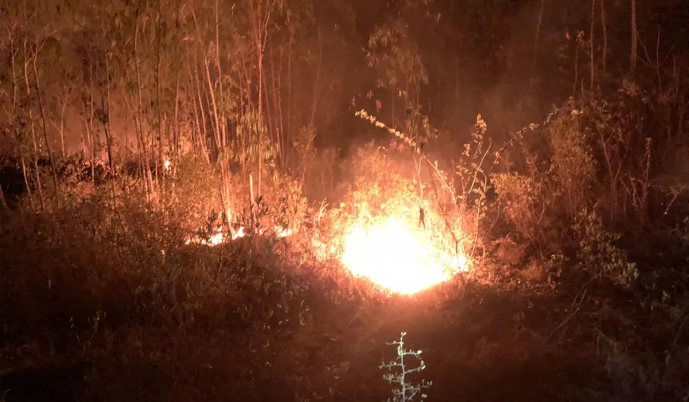 Ảnh: HOÀNG NGUYÊN