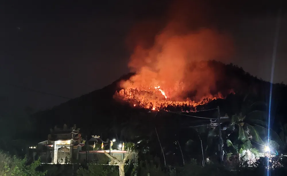 Hiện trường vụ cháy vào đêm 29-8 tại ngọn đồi ở xã Xuân Hải, thị xã Sông Cầu. Ảnh: NGỌC OAI