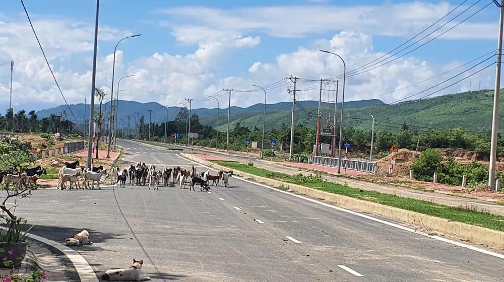 Đường giao thông trục chính thuộc dự án đầu tư cơ sở hạ tầng Khu nông nghiệp ứng dụng công nghệ cao Phú Yên. Ảnh: PHƯƠNG ĐÔNG