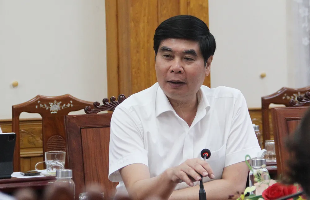 Phó Chủ tịch UBND tỉnh Bình Định Lâm Hải Giang trao đổi và chỉ đạo tại cuộc làm việc