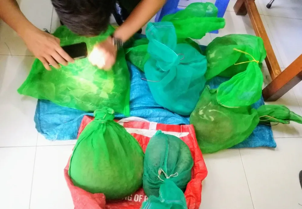 Các cá thể động vật quý hiếm bị Công an TP Tuy Hòa bắt giữ