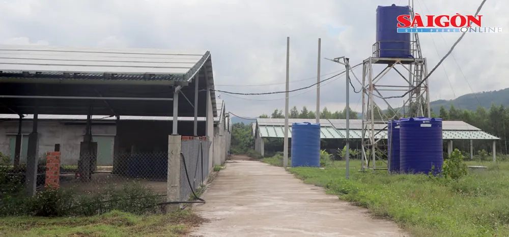 Trang trại trống không, toàn áp mái điện mặt trời thuộc Công ty TNHH Đầu tư Nam Việt Hưng Phú Yên. Ảnh: PHƯƠNG ĐÔNG