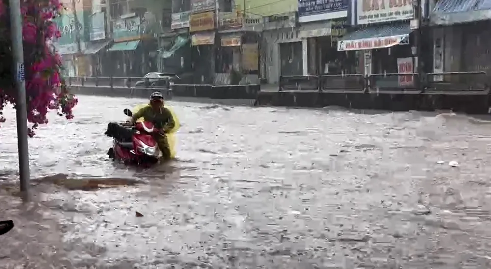 Screenshot 2024-06-21 122823.jpg