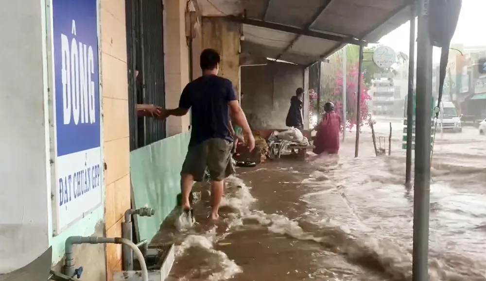 Screenshot 2024-06-21 122959.jpg