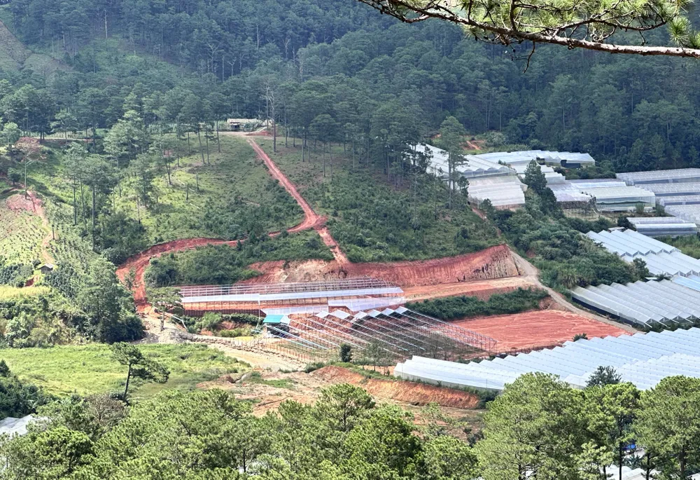 San gạt đất để phục vụ sản xuất nông nghiệp làm biến dạng địa hình diễn ra phổ biến tại Lâm Đồng thời gian qua-.jpg