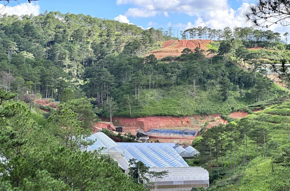 San gạt đất để phục vụ sản xuất nông nghiệp làm biến dạng địa hình diễn ra phổ biến tại Lâm Đồng thời gian qua.jpg