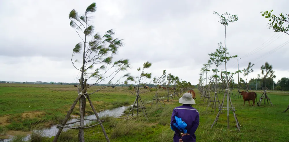 Khu đô thị công nghiệp Dung Quất (vốn trên 2.000 tỷ đồng) bỏ hoang ruộng đất hơn 186ha đã 8 năm qua khiến người dân địa phương rất lo ngại, bức xúc