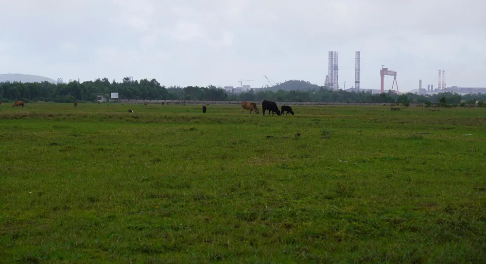 Khu đô thị công nghiệp Dung Quất, vốn trên 2.000 tỷ đồng choáng 186ha đất đai, ruộng đồng người dân xã Bình Thạnh (huyện Bình Sơn, Quảng Ngãi), đến nay vẫn chỉ là bãi chăn thả bò