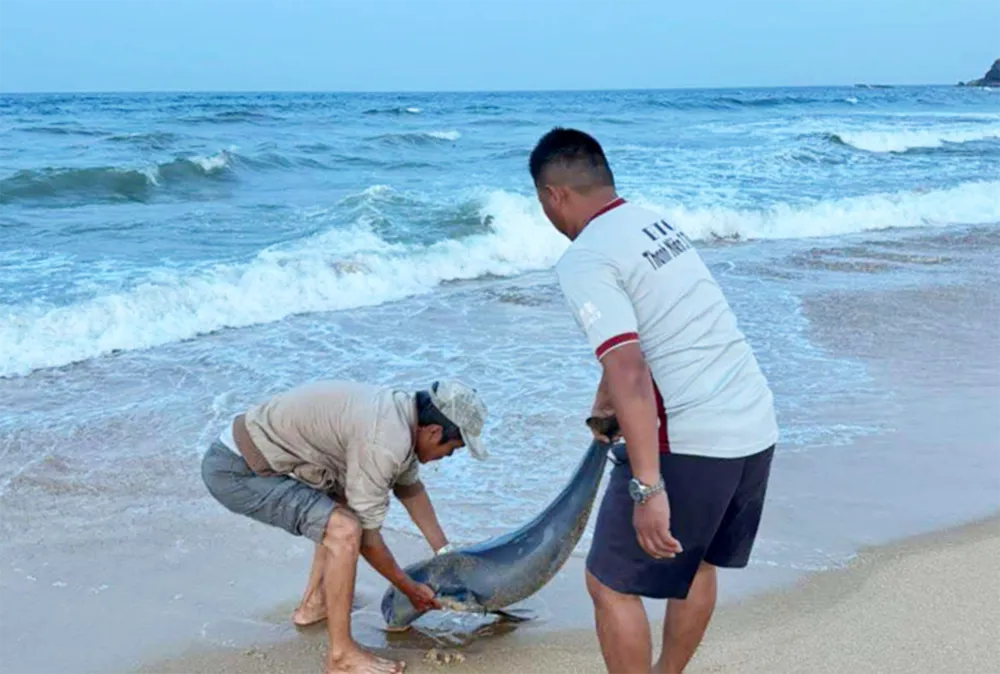 Screenshot 2025-04-16 192735.png