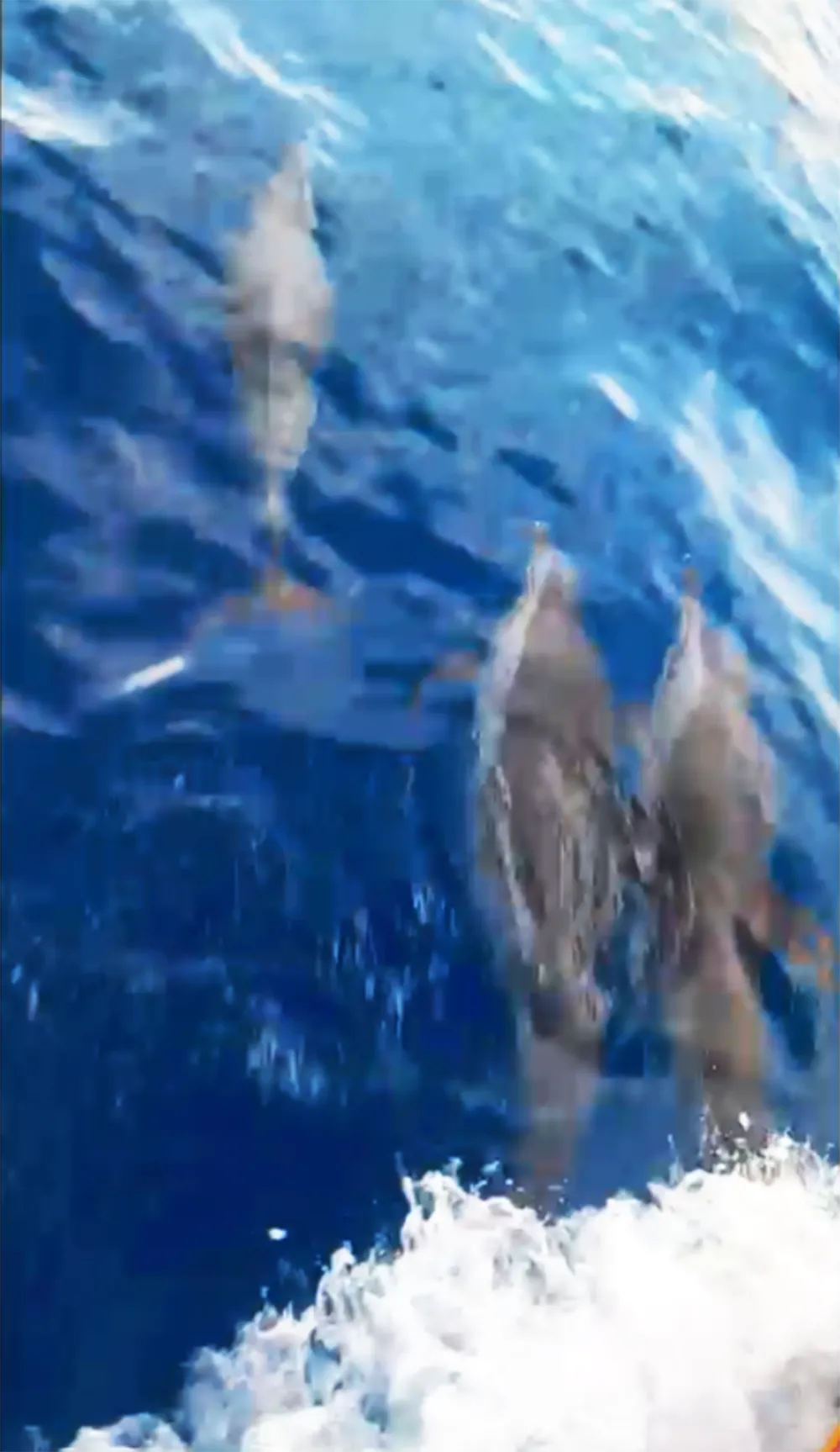 Screenshot 2026-04-26 154146.png