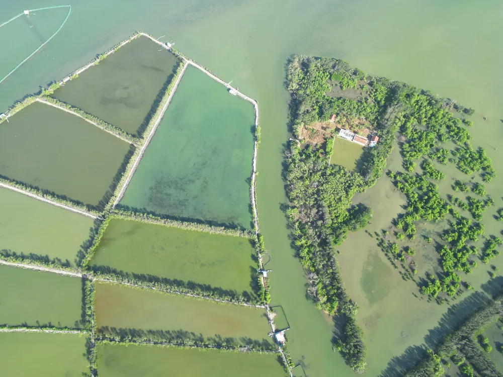 DJI_0585.JPG