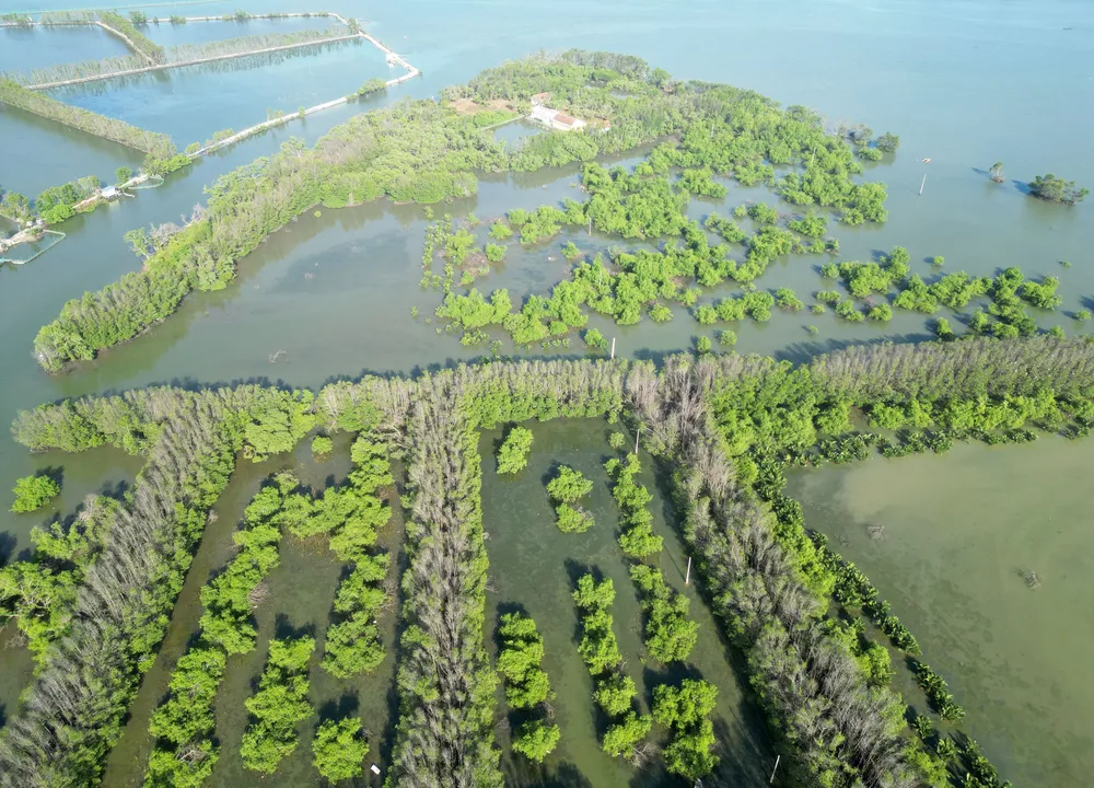 DJI_0621.JPG