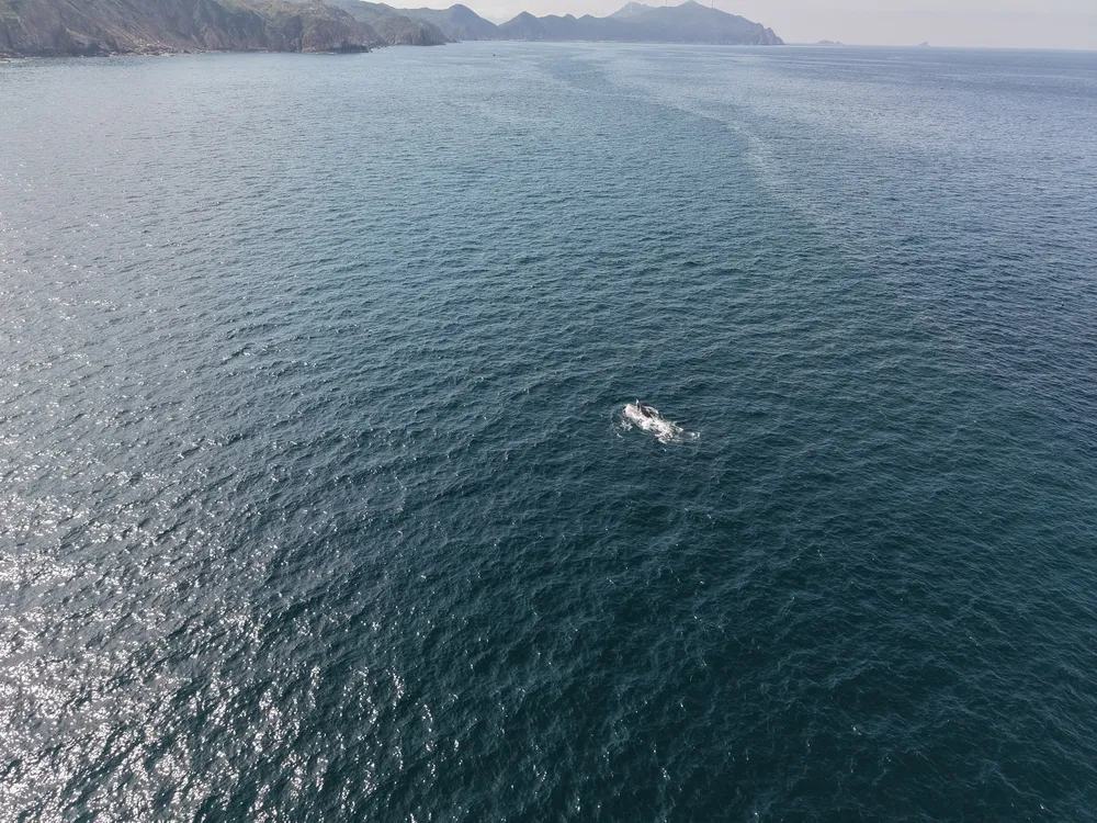 dji_fly_20260612_145356_0372_1781250665617_photo (2).JPG