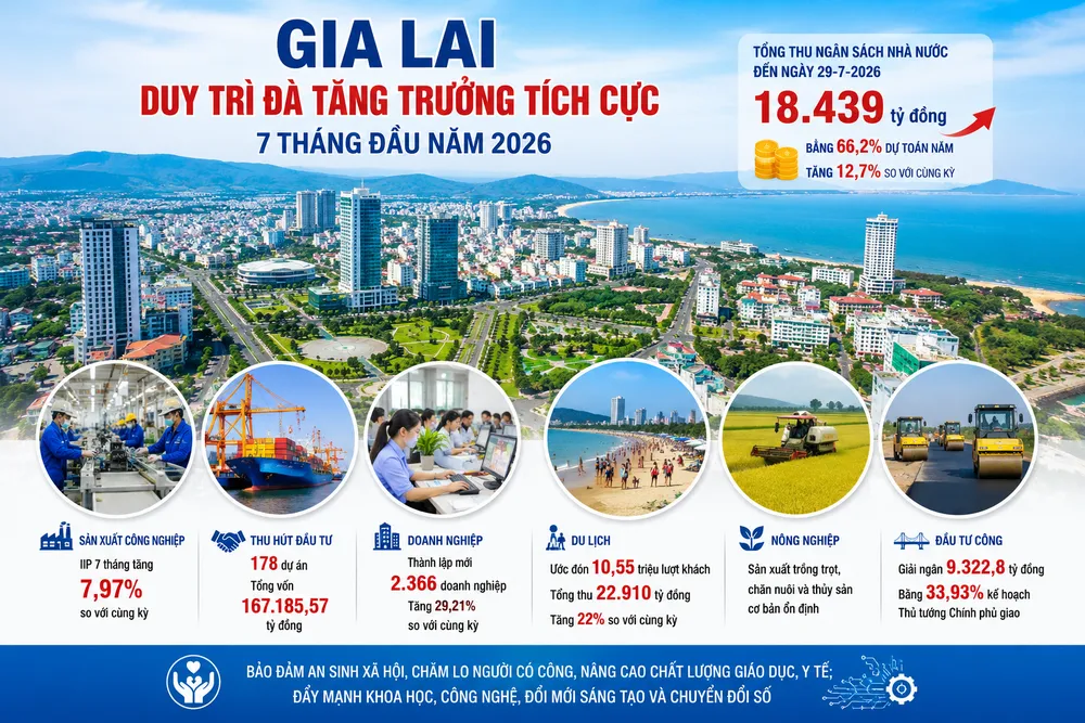 Gia Lai thu ngân sách trong 7 tháng đạt hơn 18.400 tỷ đồng