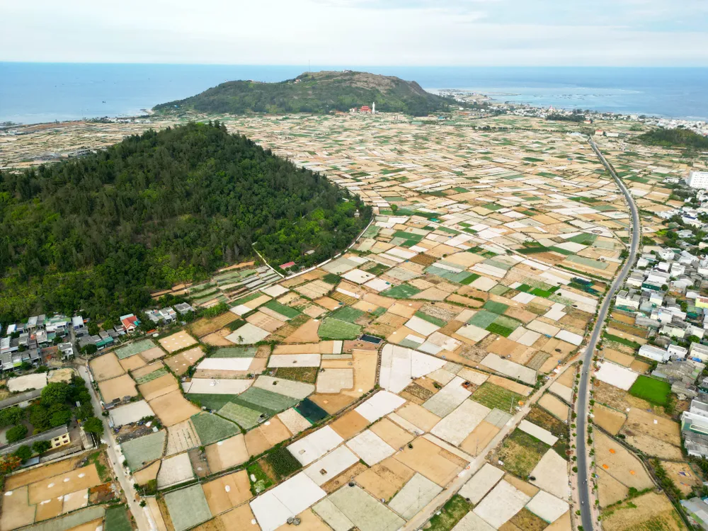DJI_0718.jpg