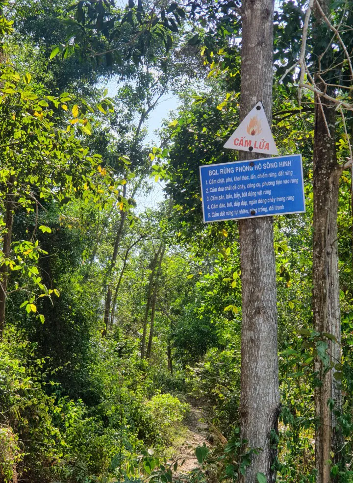 z5386736583793_0d2c8a7e0f50da2dcff9373b942aabfc (1).jpg