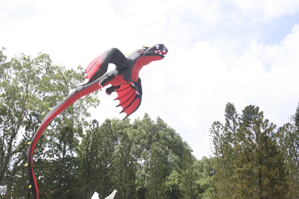 Rực rỡ những cánh diều hè ảnh 10