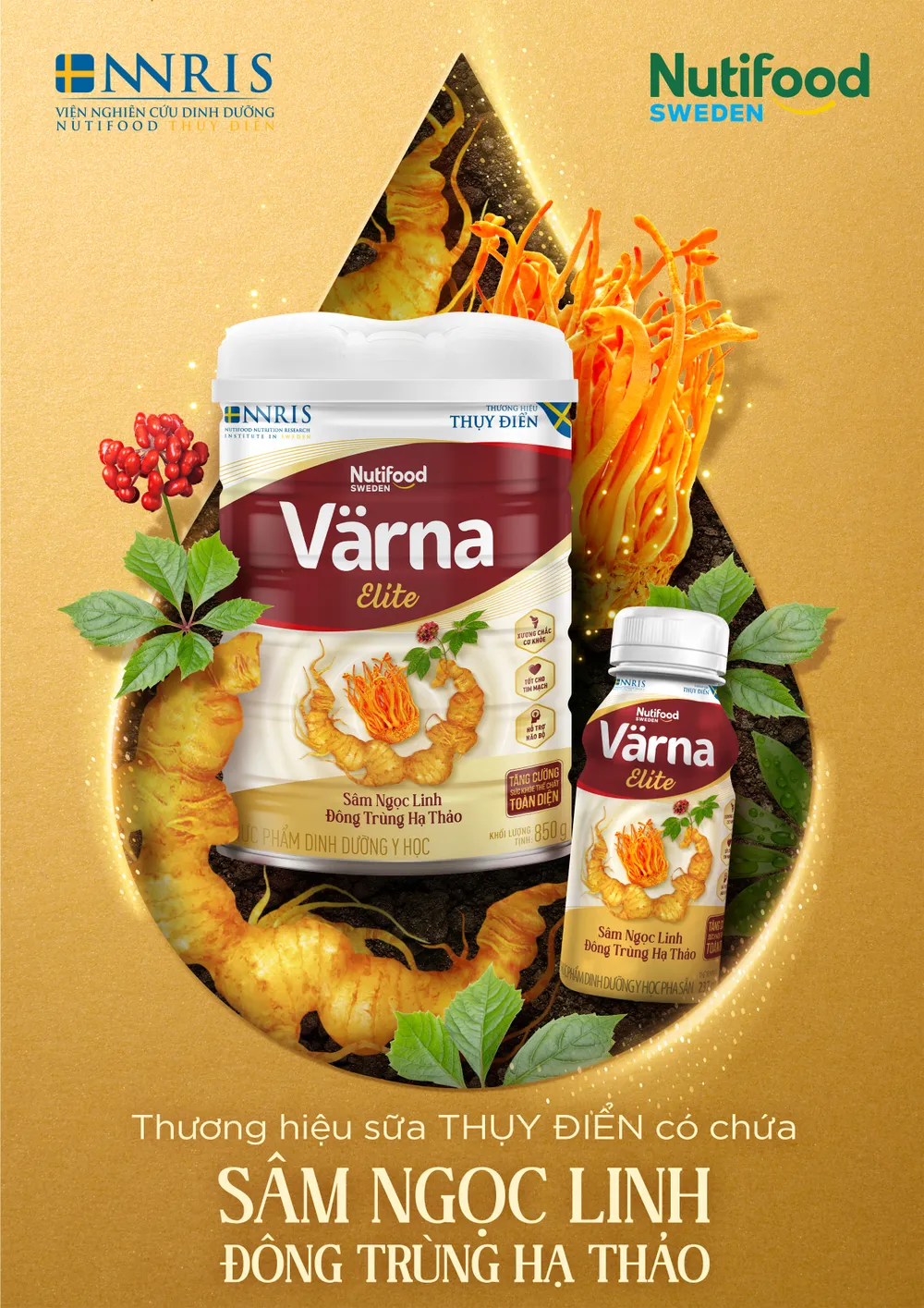 Värna - Nutifood Thụy Điển ra mắt sữa Värna Elite chắt lọc sâm Ngọc Linh và Đông trùng hạ thảo 
