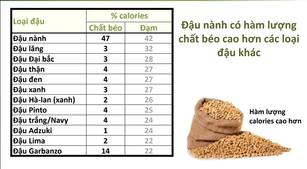 Theo TS Mark Messina, dinh dưỡng từ đậu nành cao hơn và chất lượng hơn nhiều loại đậu khác