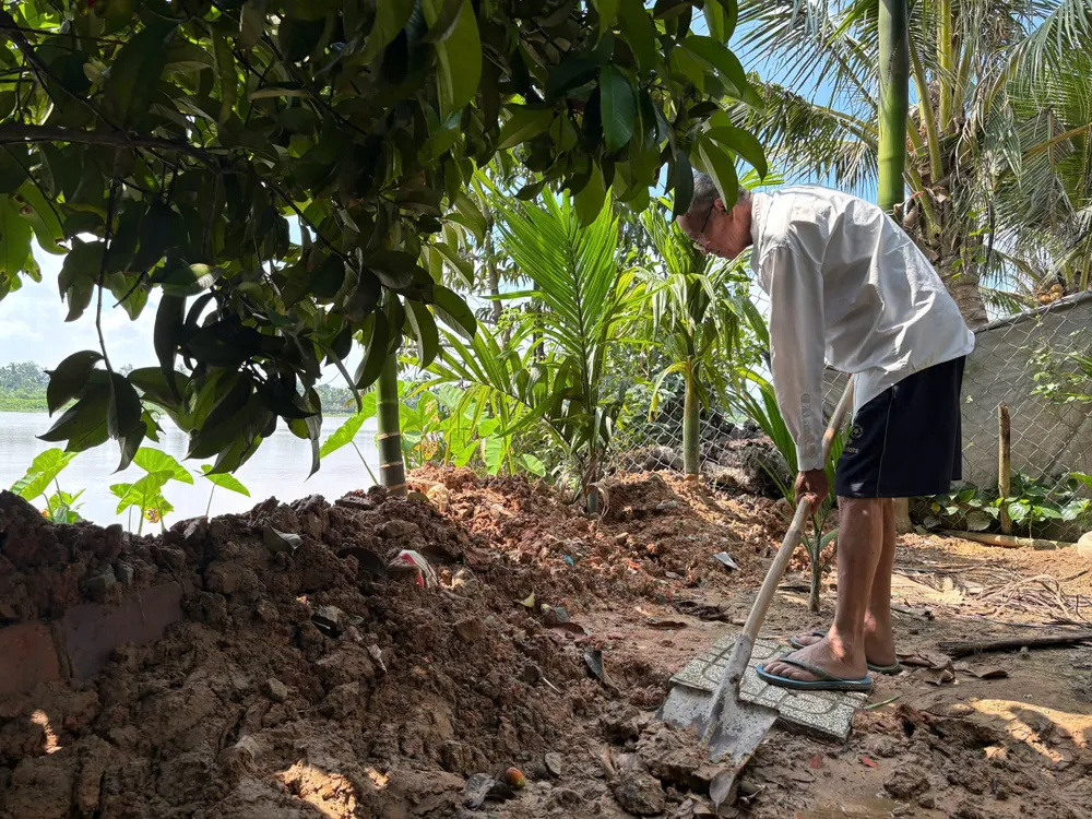 Ông Trần Văn Chính, khu phố An Mỹ, phường Thuận An vác cuốc ra vườn be bờ đối phó triều cường sông Sài Gòn.jpg