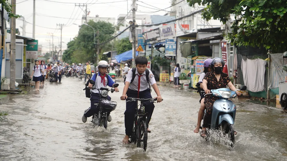 Đường Đào Sư Tích, xã Nhà Bè - 1.JPG